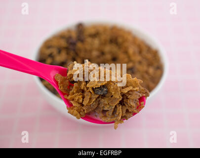 Chiudere la vista di un rosa cucchiaio colmo di grano intero uvetta con una vaschetta bianca in background in base a una tabella di colore rosa panno. Foto Stock