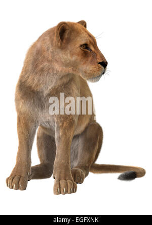 3D render digitale di una seduta leonessa isolati su sfondo bianco Foto Stock
