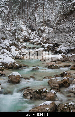 In inverno il Ramsauer Ache nella foresta Zauberwald, Parco Nazionale di Berchtesgaden Ramsau vicino a Berchtesgaden District Foto Stock