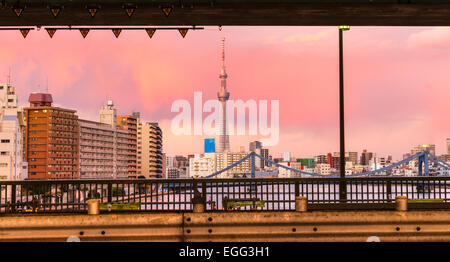 Lo skyline di Tokyo con il Skytree e la Flamme d'o edificio, Giappone. Foto Stock