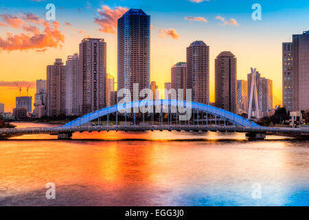 Tokyo, Giappone grattacieli residenziali a Tsukushima isola. Foto Stock