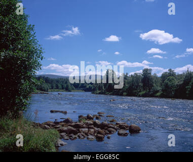 Il Fiume Spey vicino Speybridge Grantown-on-Spey vicino a Aviemore Scozia Speyside Foto Stock