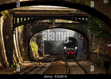 Il mare di Weymouth Express passa Giardini Sidney come esso lascia il bagno Spa Foto Stock