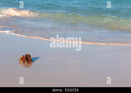 Spiaggia Foto Stock