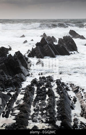 Costa rocciosa e mare, 'Hartland Quay', Devon, Inghilterra, Regno Unito Foto Stock