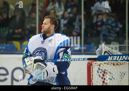 Mosca, Russia. 24 Febbraio, 2015. Goaltender Dmitry Milchakov #40 della dinamo Minsk durante il KHL campionato di hockey su ghiaccio corrispondono all'Lyzhniki Stadium. Dinamo Mosca ha vinto il gioco 3:1. Credito: Anna Sergeeva/ZUMA filo/Alamy Live News Foto Stock