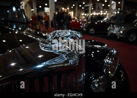 Ornamento del cofano (Jaguar nel salto) della Jaguar Mark V Saloon, 1949 Foto Stock