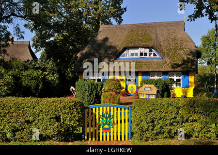 Cottage con il tetto di paglia, house, Darss, Western Pomerania Area Laguna National Park, Meclemburgo-Pomerania, Germania Foto Stock