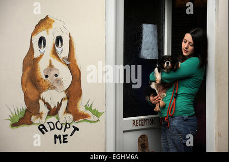 Un cane liberato nuovo arrivo in molte lacrime Animal Rescue Center vicino a Llanelli, S. Wales UK Foto Stock