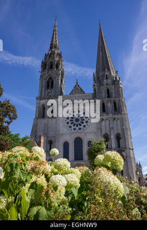 La cattedrale di Chartres West End, Chartres, Francia Foto Stock