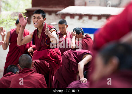 Un monaco si impegna in una animata discussione, Monastero di Sera, Lhasa, in Tibet Foto Stock