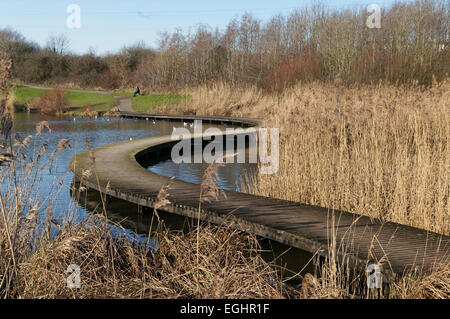 Passerella curvi, Lamby Lago, Tredelerch Park, Lamby modo, Cardiff, Galles del Sud. Foto Stock