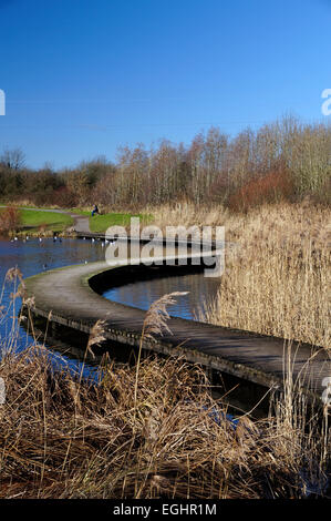 Passerella curvi, Lamby Lago, Tredelerch Park, Lamby modo, Cardiff, Galles del Sud. Foto Stock