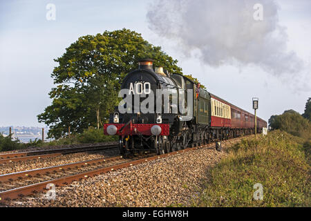 Le cattedrali Express tramite cottura a vapore Powderham Foto Stock