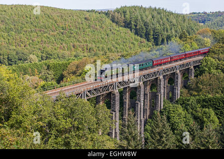 Il Royal Ducato, Tangmere, cottura a vapore su St Pinnock viadotto Foto Stock