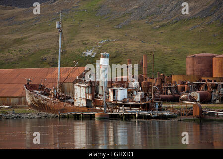 Georgia del Sud, Grytviken, norvegese costruita whalecatching nave Petrel arenarsi tra resti di fabbrica di elaborazione Foto Stock