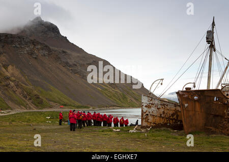 Georgia del Sud, Grytviken, nave da crociera passeggeri presso prows di barche di tenuta Dias e Albatros Foto Stock