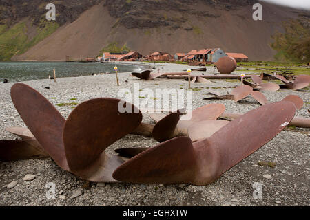 Georgia del Sud, Stromness, navi demolite propellors sulla spiaggia al di fuori del vecchio stazione baleniera Foto Stock