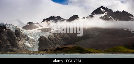 Georgia del Sud, oro Harbour, costiere montagne e ghiacciai in cloud, panoramica Foto Stock