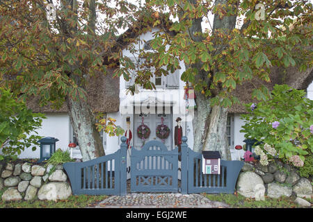 Frisone casa in Keitum, isola di Sylt, Sylt-East, Schleswig-Holstein, Germania Foto Stock