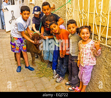 I bambini con le loro pecore su Eid al-Adha in Fes Marocco Africa Foto Stock