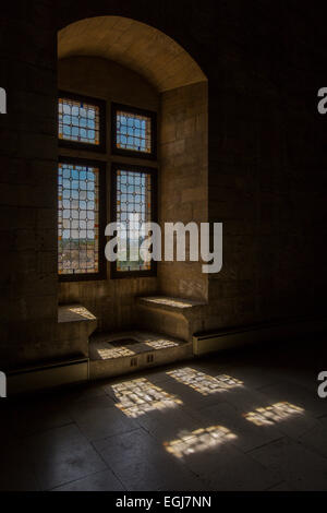 AVIGNON, Francia - 12 Maggio 2014: una vista di una vecchia finestra all'interno del palazzo papale risalente al medioevo. Foto Stock