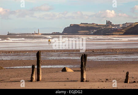 Un lone dog walker su una spiaggia invernale guardando verso Whitby Abbey a Yorkshire villaggio costiero di Sandsend. Foto Stock