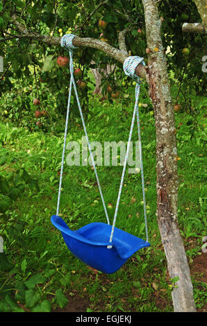 Apple-tree con swing blu nel giardino del villaggio. Foto Stock