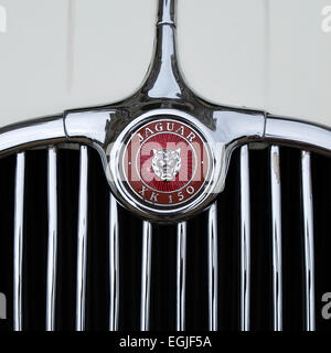 Chiusura del badge e grill di un vintage Jaguar XK 150 auto sportiva Foto Stock