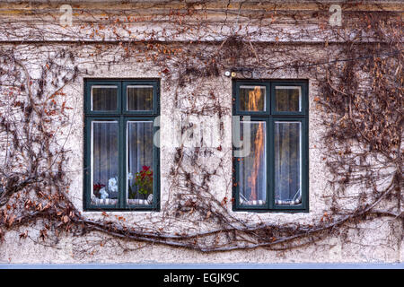Old Dirty Windows sul vecchio muro sporco Foto Stock