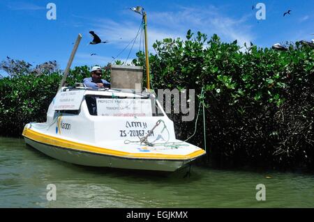 GPS - Monitoraggio" Frigate Bird progetto '-' Isla de los Pajaros ' - PUERTO PIZARRO. Dipartimento di Tumbes .PERÙ Foto Stock