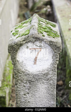 Numero sette su una pietra particolare di una pietra scolpita numero, decorazione, abbandono e rovina Foto Stock