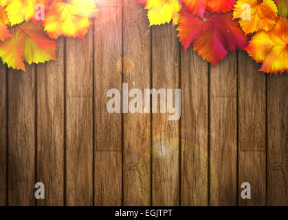 Natura vendita autunnale background di design con spazio Foto Stock