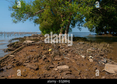 Alberi di mangrovie e il resto di una struttura artificiale su un paesaggio costiero che soffre di erosione costiera a Kamal Muara, Jakarta, Indonesia. Foto Stock