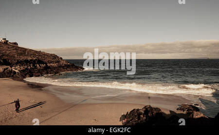 Spiaggia di Porthgwidden sull'Oceano Atlantico Baia di St Ives Cornwall Inghilterra Europa Foto Stock