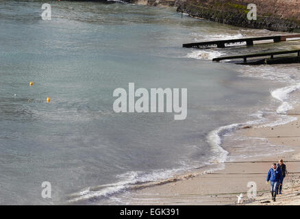 Uomo e donna che cammina West Highland Terrier sulla spiaggia di St Ives Cornwall Inghilterra Europa Foto Stock