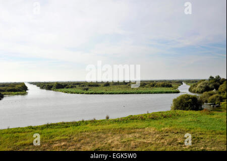 Bouaye (nord-ovest della Francia): 'lac de grand-lieu' lago Foto Stock