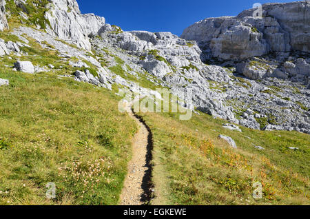 Percorso sul pendio di montagna Foto Stock