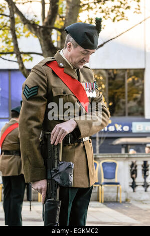 Belfast, Irlanda del Nord. 10 nov 2013 - soldato dal Royal Irish Regiment costituisce una guardia d'onore del cenotafio durante un giorno del ricordo cerimonia. Foto Stock