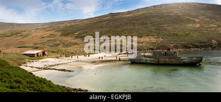 Atlantico Sud, Falklands, nuova isola, relitto in bare Harbour, panoramica Foto Stock