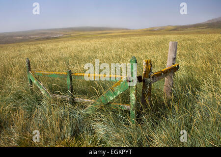 Atlantico Sud, Falklands, nuova isola, lichen-gate coperto e resti della vecchia fattoria recinzione Foto Stock