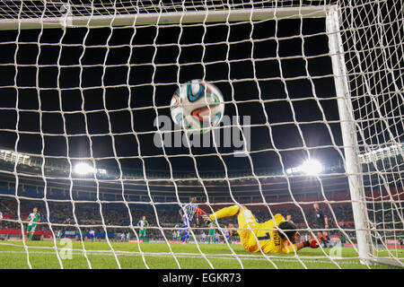 VIENNA, Austria - 28 agosto 2014: Jan Novota (#1 Rapido) non riesce a prendere la palla in un UEFA Europa League partita di qualificazione. Foto Stock