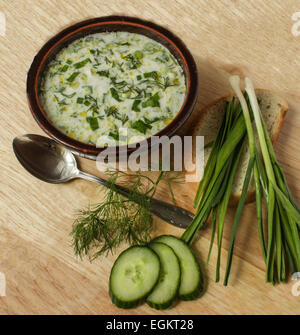Tradizionale cibo bulgaro tarator - - Cetrioli, aneto, lo yogurt e la zuppa di aglio Foto Stock