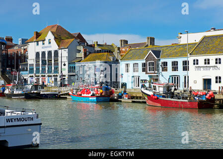 Barche ormeggiate nel porto di Weymouth Dorset, Regno Unito Inghilterra Foto Stock