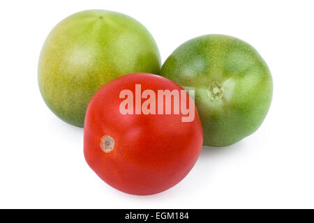 Pomodori rosso verde isolato su bianco Foto Stock