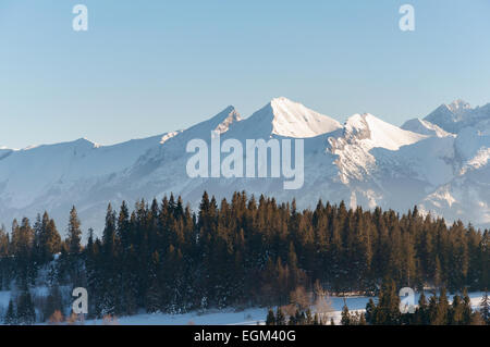 Paesaggio invernale dei Monti Tatra. Vista dal vertice di Kotelnica. Foto Stock