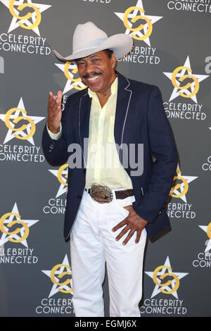 66Primetime Emmy Awards - Gifting Suite Celebrity collegato la Live - Arrivi con: Obba Babatunde dove: Los Angeles, California, Stati Uniti quando: 23 Ago 2014 Foto Stock