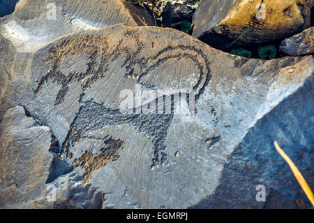 Close up di antichi simboli incisi su roccia su Saimaluu Tash sito in Kirghizistan Foto Stock