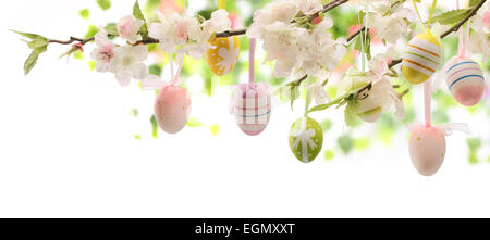 Le uova di pasqua appeso sul ramo di prugne Foto Stock
