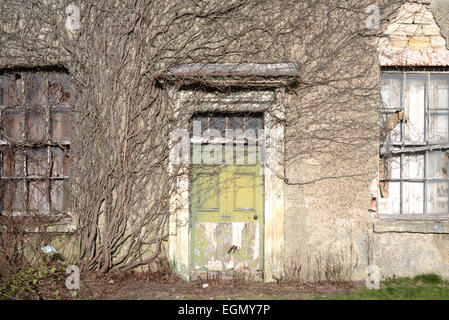 Vegetazione ed edera che cresce su sala vuota vicino a Leeds Yorkshire Regno Unito Foto Stock